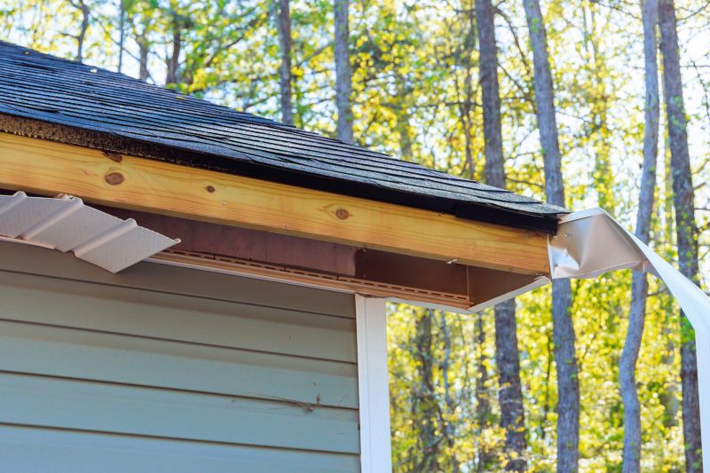 Metal Fascia Repair in Olathe, KS